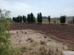 C9161位于昌吉市高新区工业性结构厂房空地出租