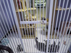 （成功案例）C9183云鼎大观一期90平宠物店转让