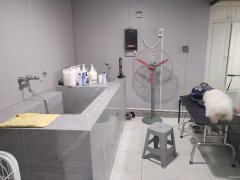 （成功案例）C9183云鼎大观一期90平宠物店转让