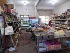 （成功案例）C9190温泉东路200平副食品五金店转让