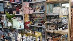 C9379昌吉市育林中学旁临街鲜花精品店转让空转均可