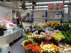 C9383植物园25平花店转让