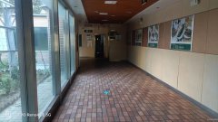 C9395位于昌吉市文化东路州一幼附近临街店面出租