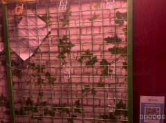 （成功案例）C9452位于昌吉世纪大道盛世龙城临街门面空转