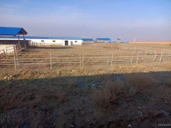 C9471招租 庙尔沟乡三工滩大型养殖场