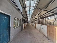 C9471招租 庙尔沟乡三工滩大型养殖场