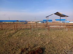 C9471招租 庙尔沟乡三工滩大型养殖场