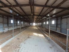 C9471招租 庙尔沟乡三工滩大型养殖场