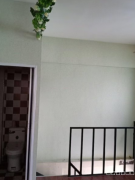 C9512旺铺出租 位于新汇嘉对面天和城品商业街