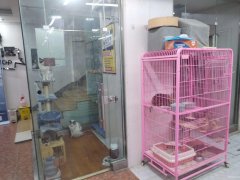 （成功案例）C9569时代广场红山路73号宠物店转让