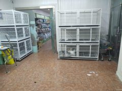 （成功案例）C9569时代广场红山路73号宠物店转让