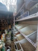 C9573位于奇台县天山南路新茂公司楼下杂粮炒货店转让