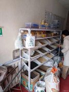 C9573位于奇台县天山南路新茂公司楼下杂粮炒货店转让