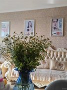 C9595佳雨中城营业中美容店直租无转让费