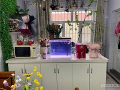 （成功案例）C9697位于昌吉建国路花店转让