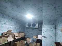 C9704阜康市冷冻批发店转让