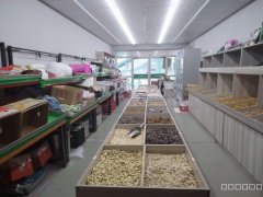 C9705阿勒泰路BRT天桥下70平旺铺转让