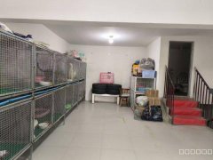 C9755昌吉市中山华庭旺铺空转