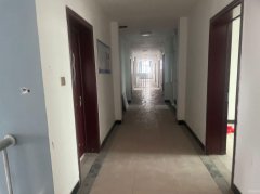 C9790位于昌吉健康东路除一层外整楼出租