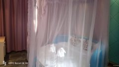 （成功案例）C9893位于屯河路新天地花儿印象主题酒店对外转