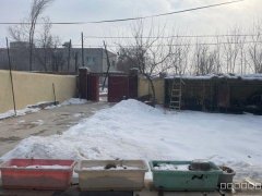 C9918位于昌吉解放路苗圃二村院落和住宅出租