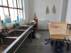 C9998石化早市隆家旺70平餐厅低价转让