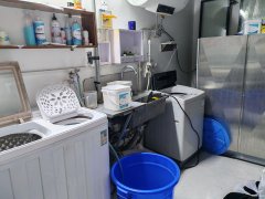 C10061中海天悦府41平干洗洗鞋快递转让