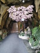 C10141山水溶洞重庆鲜菜火锅店转让