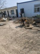 （成功案例）C10271呼图壁幸福路锦城宾馆后厂房出租