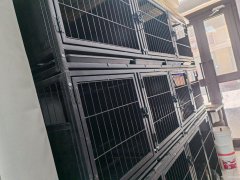 （成功案例）C10293香缇雅境48平宠物店转让