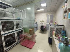 C10378莱茵庄园经营8年老店宠物店转让