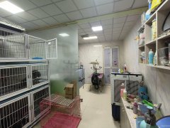C10378莱茵庄园经营8年老店宠物店转让
