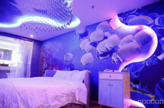 （成功案例）C10384万达YOYO环球港宾馆转让