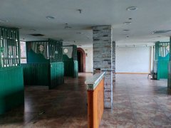 （成功案例）C10504阜康元森国际446平旺铺出租