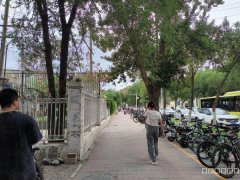 C10546昌吉第一中学旁打字图文店转让