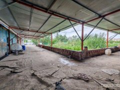 C10565河马泉龙盛街农家乐出租