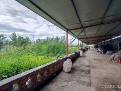 C10565河马泉龙盛街农家乐出租