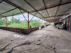 C10565河马泉龙盛街农家乐出租