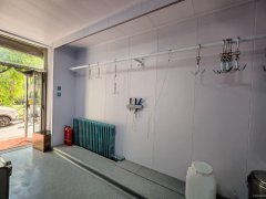 C10580绿色家园37平牛羊肉店转让