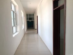 C10592农家院出租