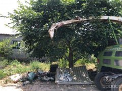 C10592农家院出租