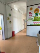 C10604八钢92小学精英学校附近398平教培转让