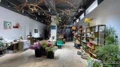 C10643位于昌吉乌伊路与北京路交汇处经营中鲜花店转让