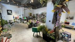 C10643位于昌吉乌伊路与北京路交汇处经营中鲜花店转让