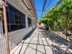 C10655阜康城关西树窝子村600平农家院出租