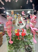 C10923位于昌吉枫叶广场营业中韩式自助火锅店转让