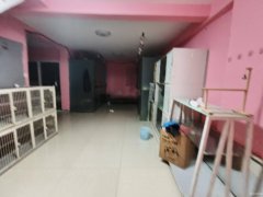 C10935开发区中泰茗居经营中宠物店转让