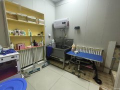 C10935开发区中泰茗居经营中宠物店转让