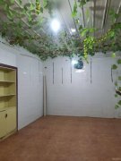 C10991康乾街旺铺出售