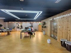 C11016全新装修宠物会所转让